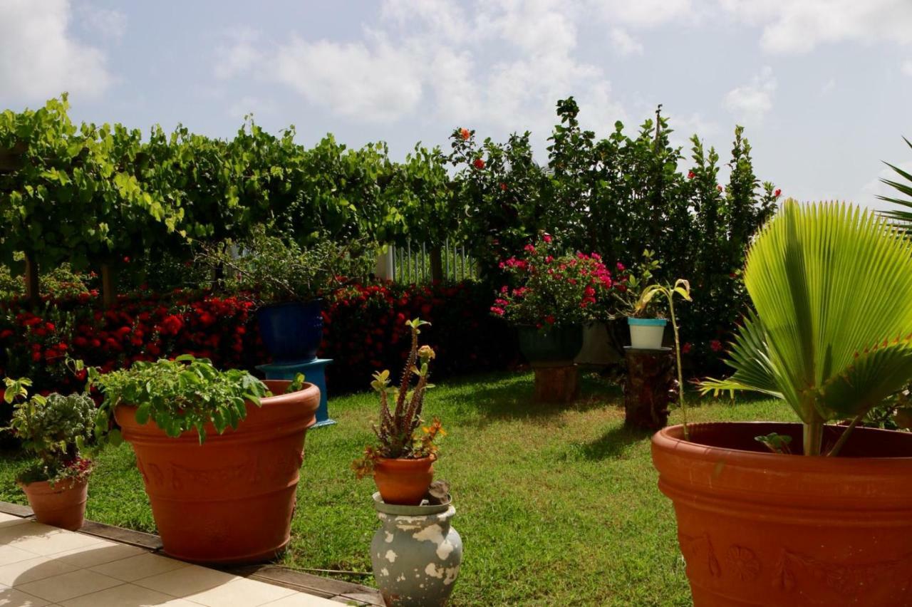 Bed & Breakfast 6 Suites Piscine Et Plage Pointe Faula Le Vauclin Dış mekan fotoğraf